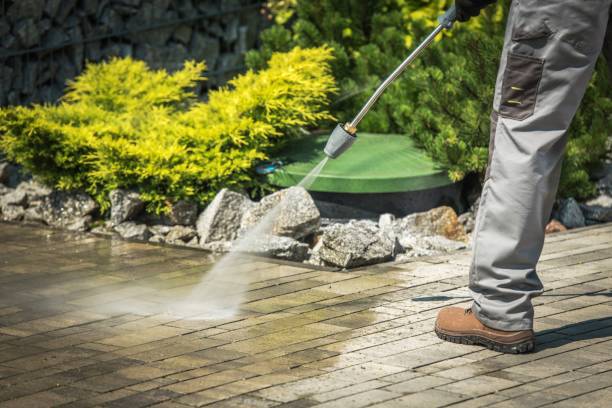 Best Vinyl Siding Pressure Washing in Lake Mohegan, NY